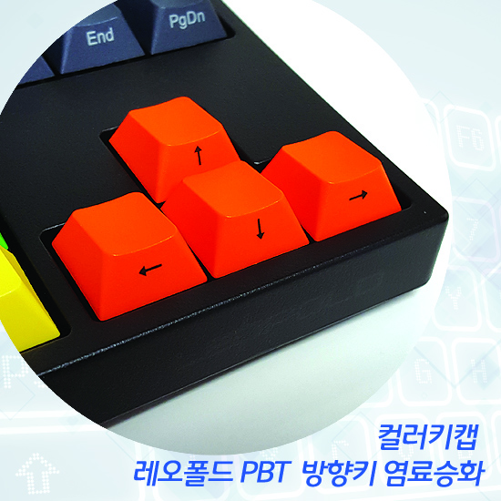 레오폴드 PBT 방향키 염료승화 컬러키캡 - 정각(상단)